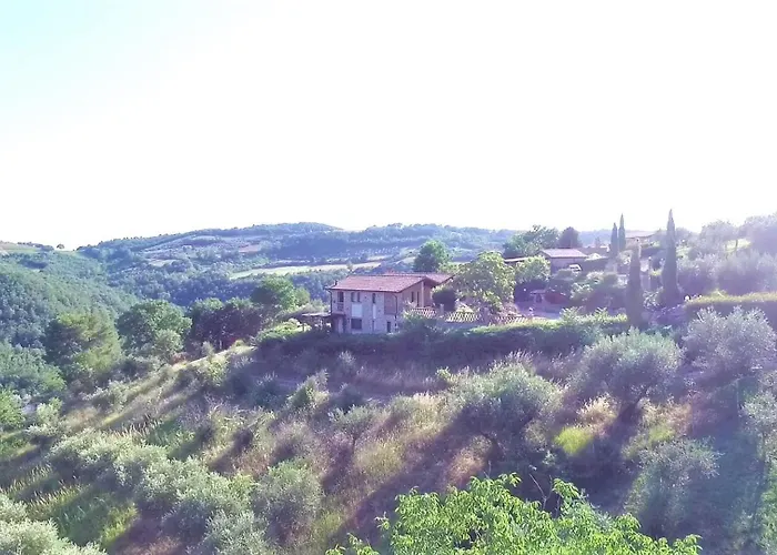 Mario & Friends Pozzo (Perugia)